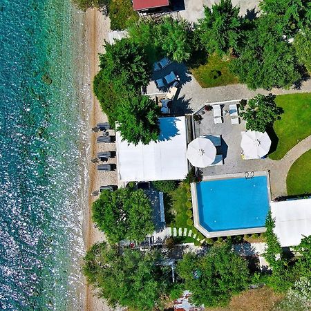 Acrotel Athena Villa إيليا المظهر الخارجي الصورة